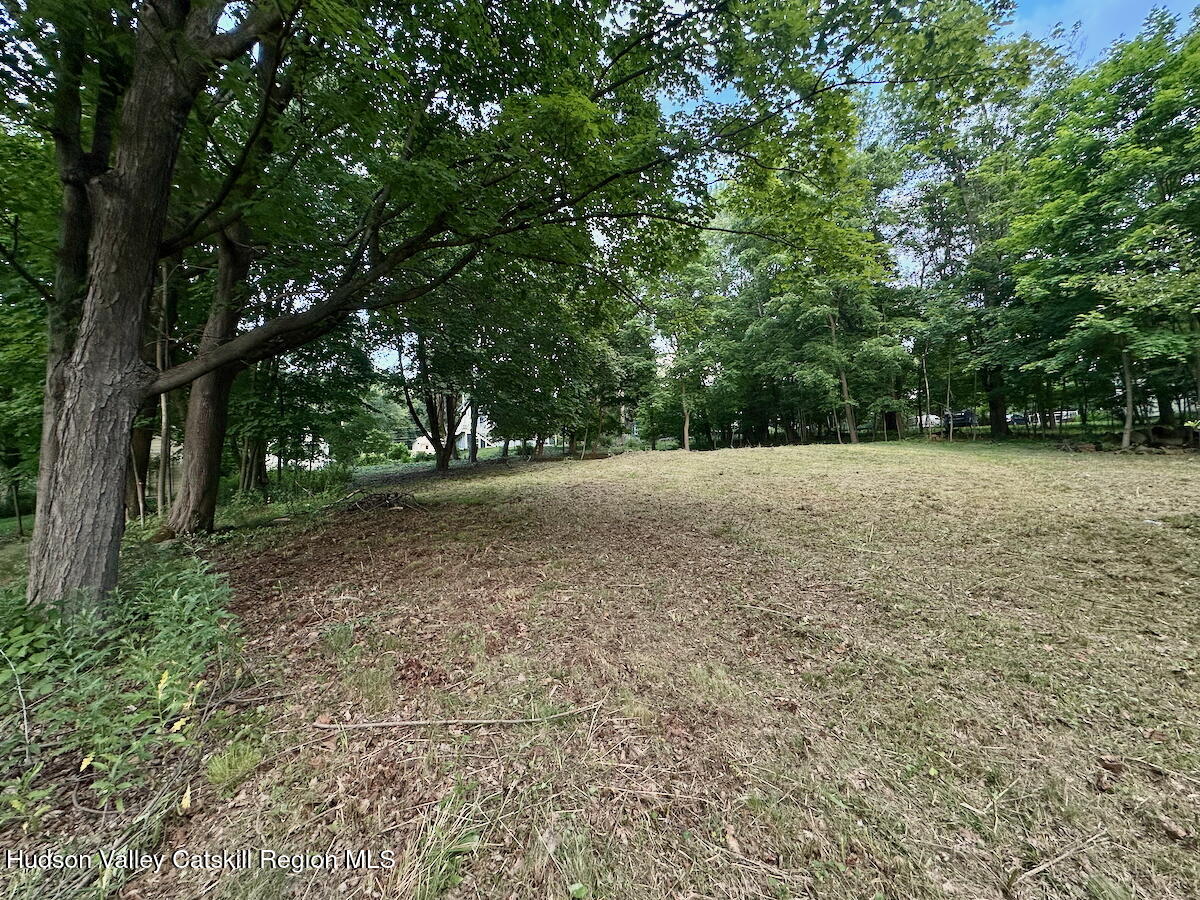 0 Murray Street, Unit PRIVATE Chatham, NY 12037 - Photo 5 of 19 a view of outdoor space with trees
