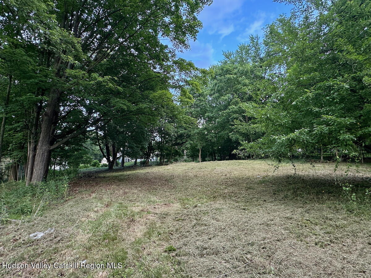 0 Murray Street, Unit PRIVATE Chatham, NY 12037 - Photo 6 of 19 a view of a yard with a tree