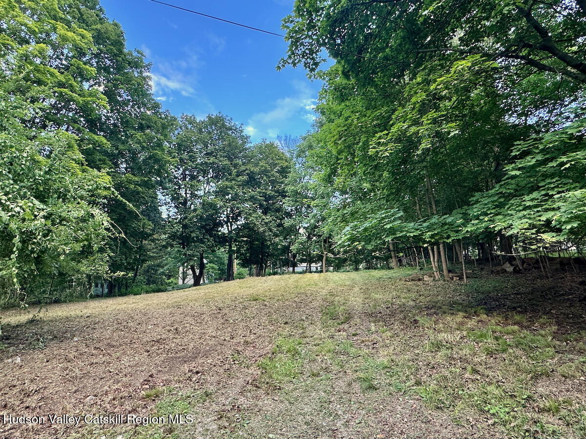 0 Murray Street, Unit PRIVATE Chatham, NY 12037 - Photo 7 of 19 a view of backyard with green space
