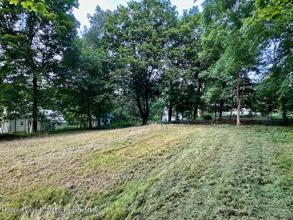 0 Murray Street, Unit PRIVATE Chatham, NY 12037 - Photo 8 of 19 a view of backyard with large trees