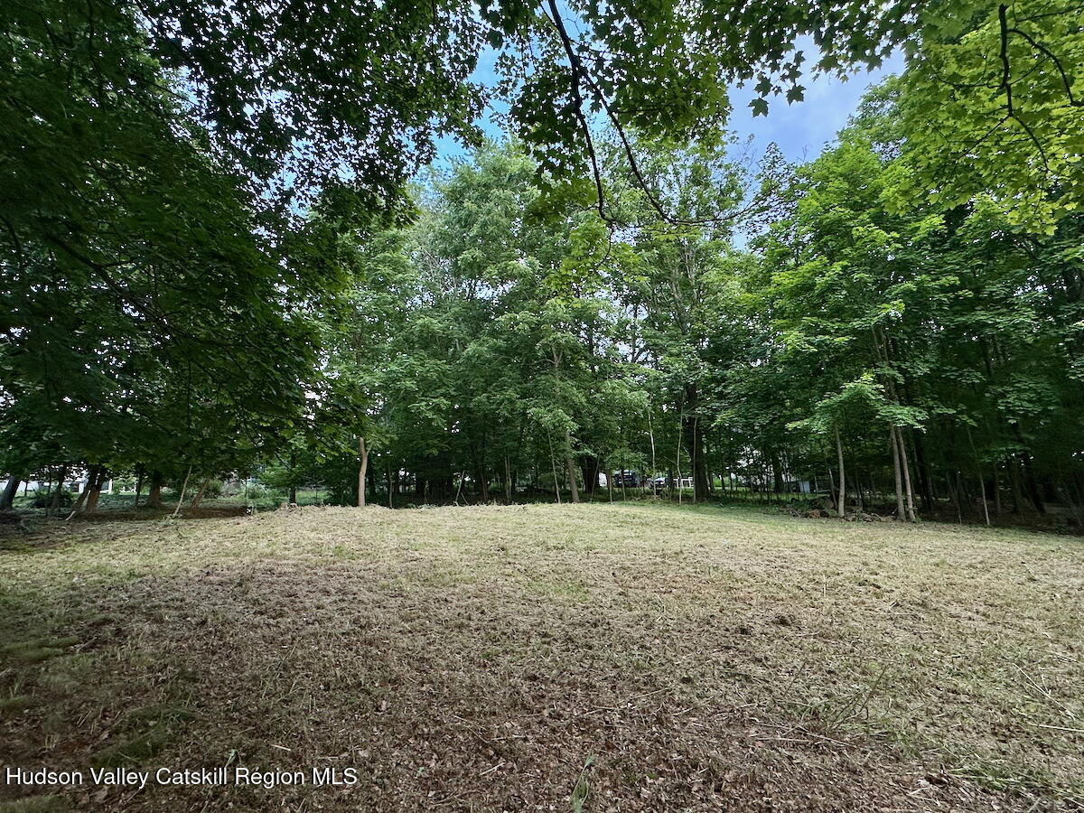 0 Murray Street, Unit PRIVATE Chatham, NY 12037 - Photo 9 of 19 a view of basketball court