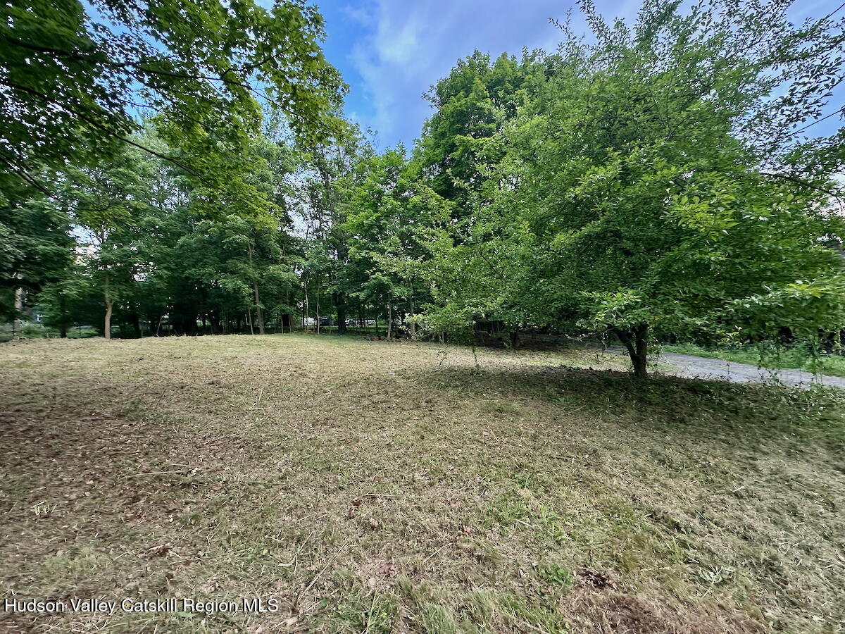 0 Murray Street, Unit PRIVATE Chatham, NY 12037 - Photo 10 of 19 a view of a field with trees in the background