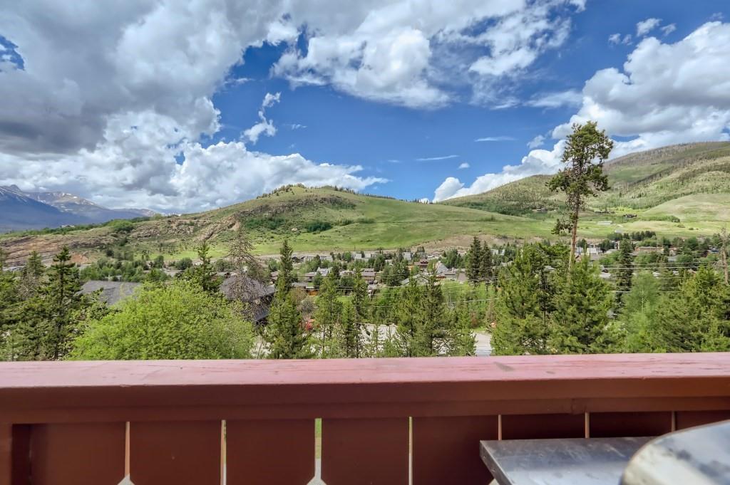 180 Evergreen Road, Unit 204 Dillon, CO 80435 - Photo 13 of 13 a view of a back yard with a garden