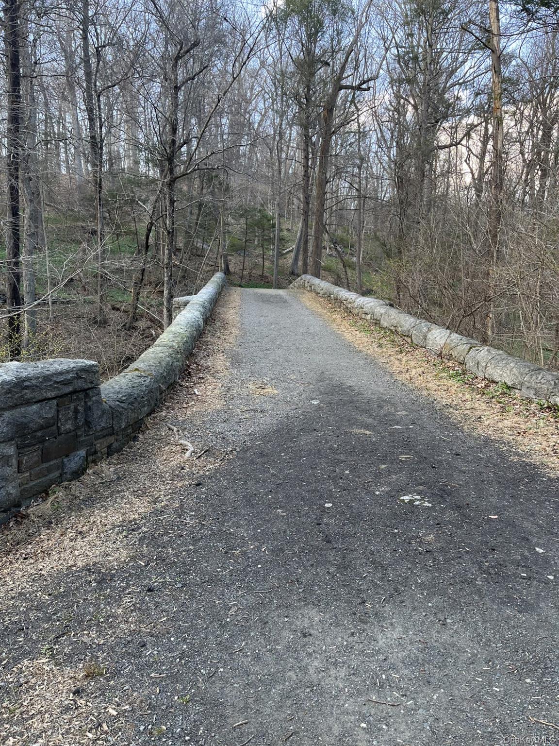 8 Ridge Street Sleepy Hollow, NY 10591 - Photo 38 of 40 GORY BROOK HIKING TRAIL