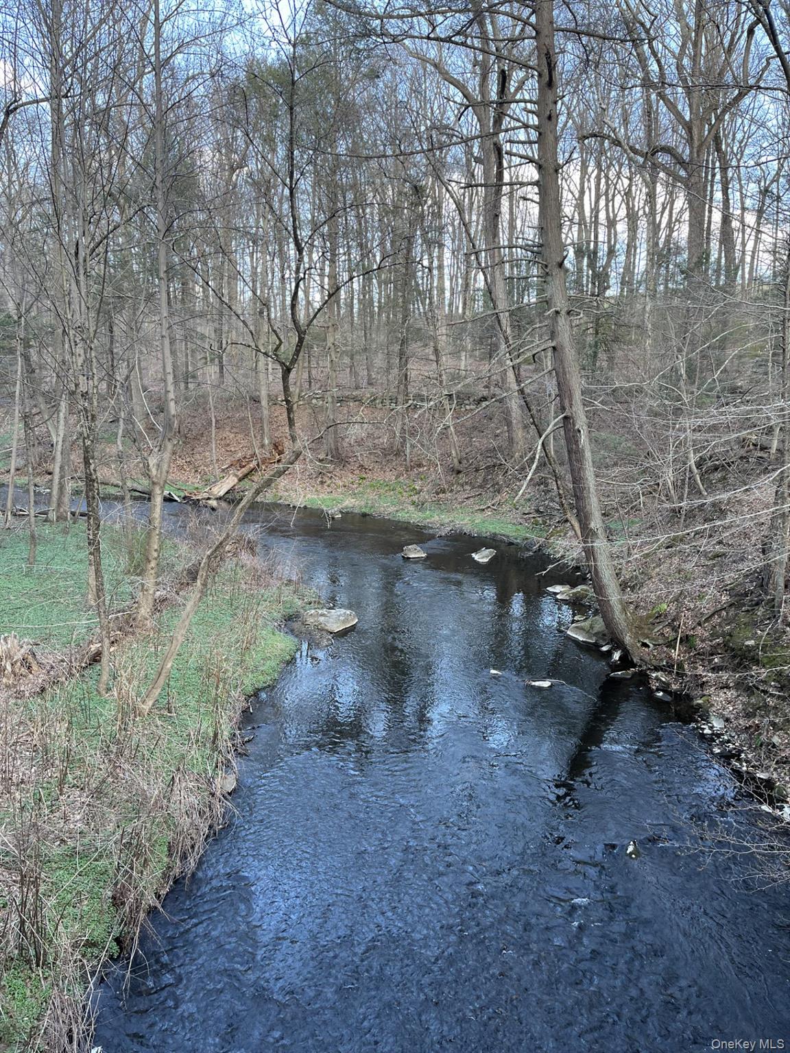 8 Ridge Street Sleepy Hollow, NY 10591 - Photo 39 of 40 BABBALING BROOK