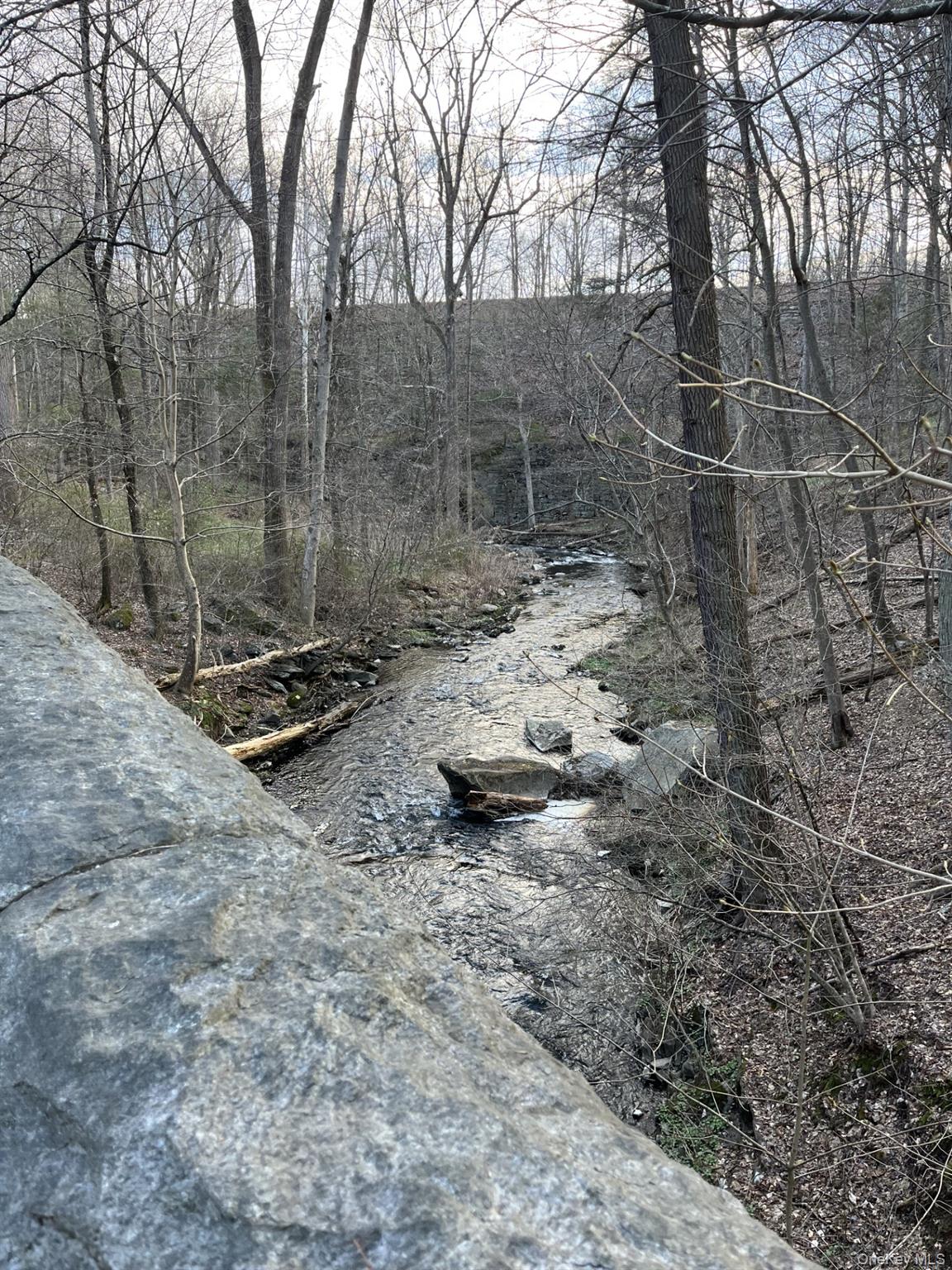 8 Ridge Street Sleepy Hollow, NY 10591 - Photo 40 of 40 VIEW FROM THE TRAIL