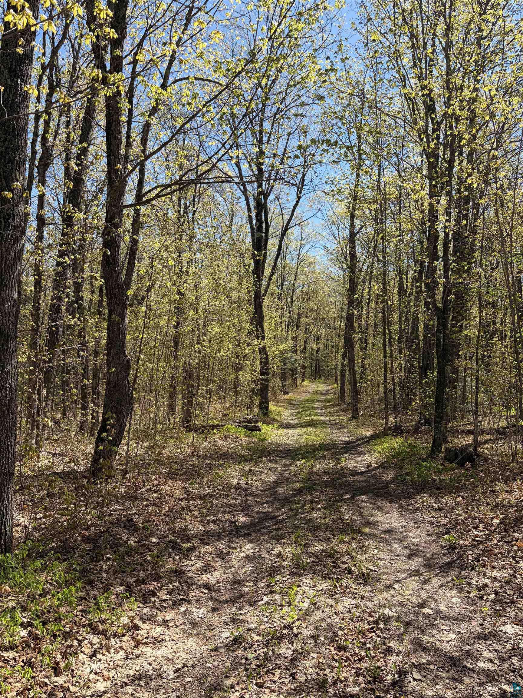 4715 Heffelfinger Road Finland, MN 55603 - Photo 24 of 31