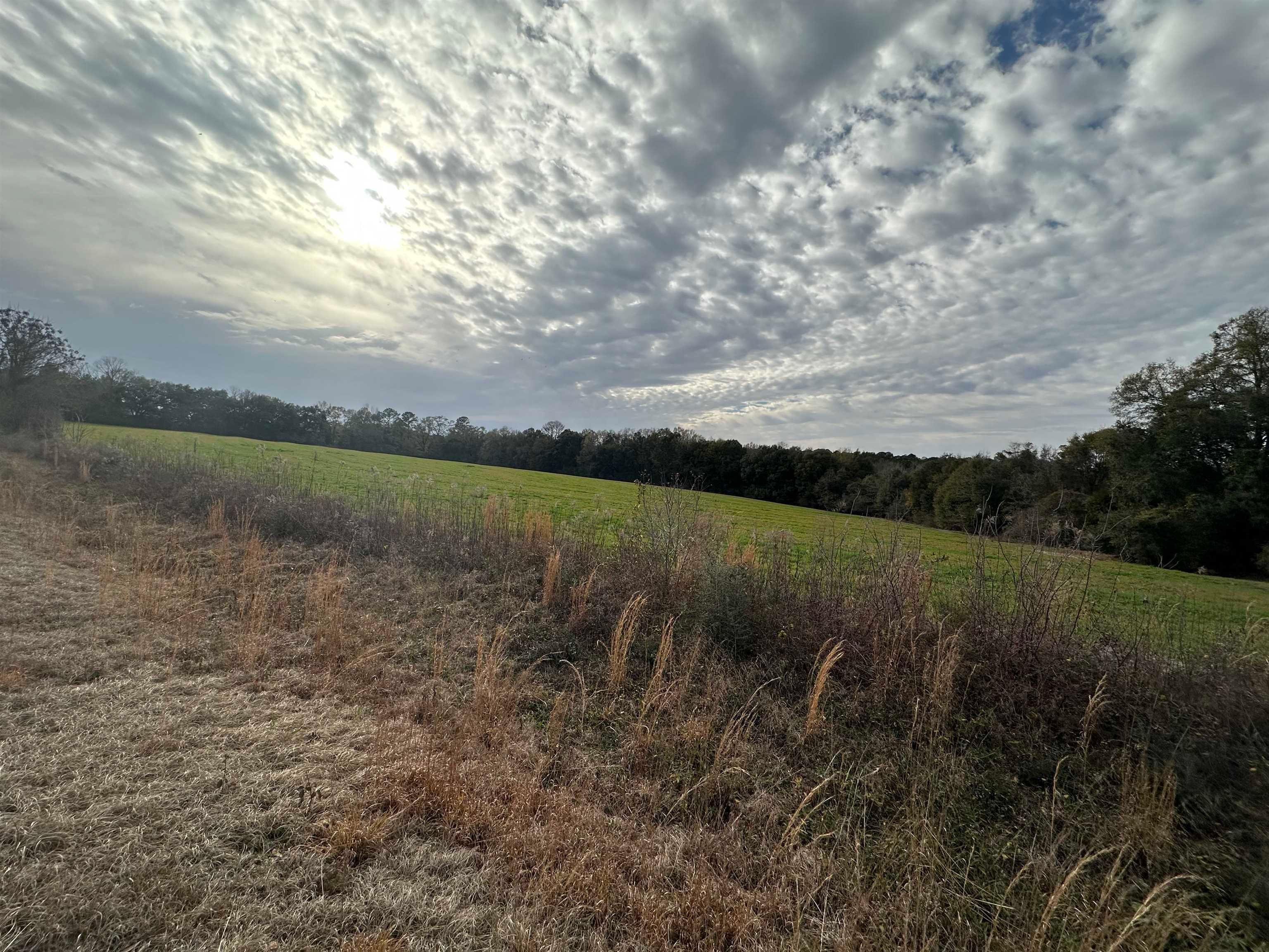 10-ac Bates Road Red Level, AL 36474 - Photo 1 of 11 Gallery Image 1