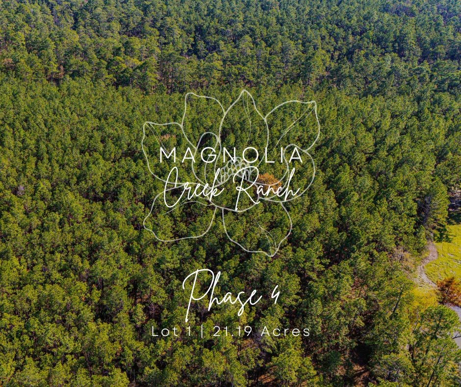 Welcome to Magnolia Creek Ranch!