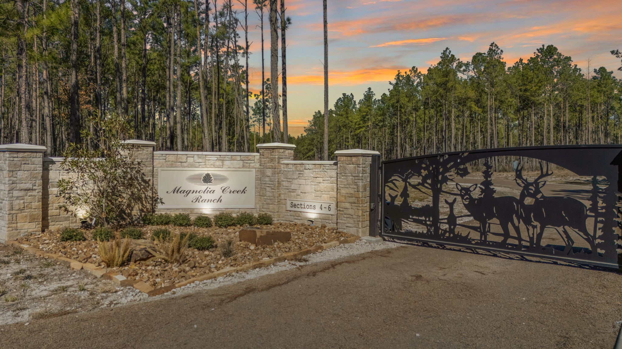 41 Sportsman Retreat Road Onalaska, TX 77360 - Photo 2 of 16