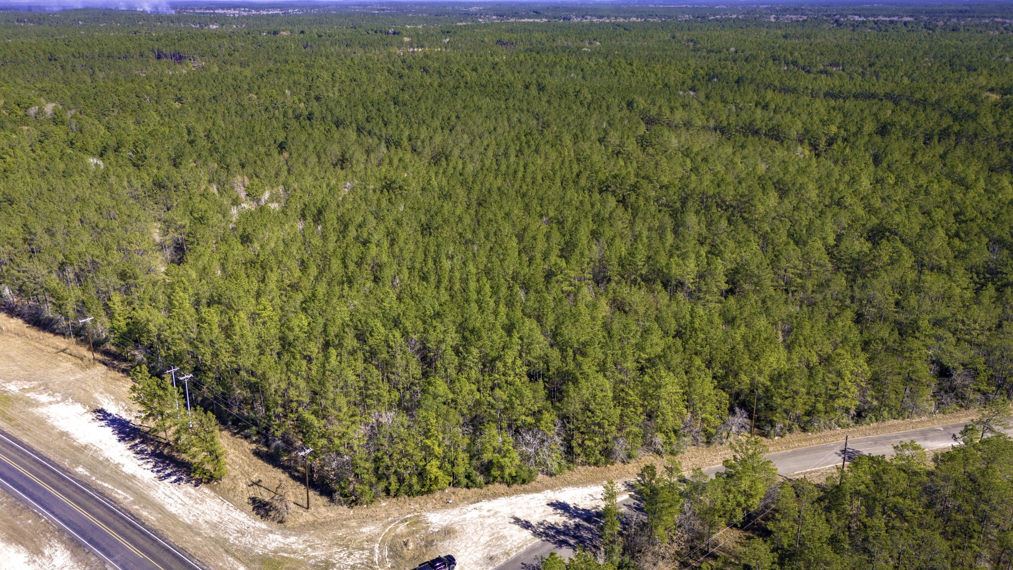 41 Sportsman Retreat Road Onalaska, TX 77360 - Photo 4 of 16 Tract offers FM 3459 frontage as well.
