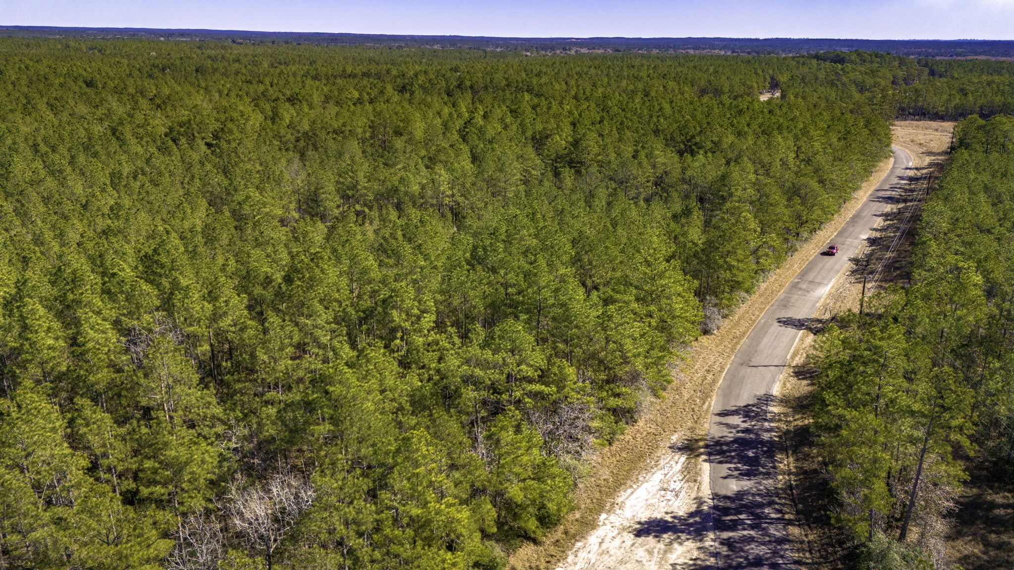 41 Sportsman Retreat Road Onalaska, TX 77360 - Photo 7 of 16