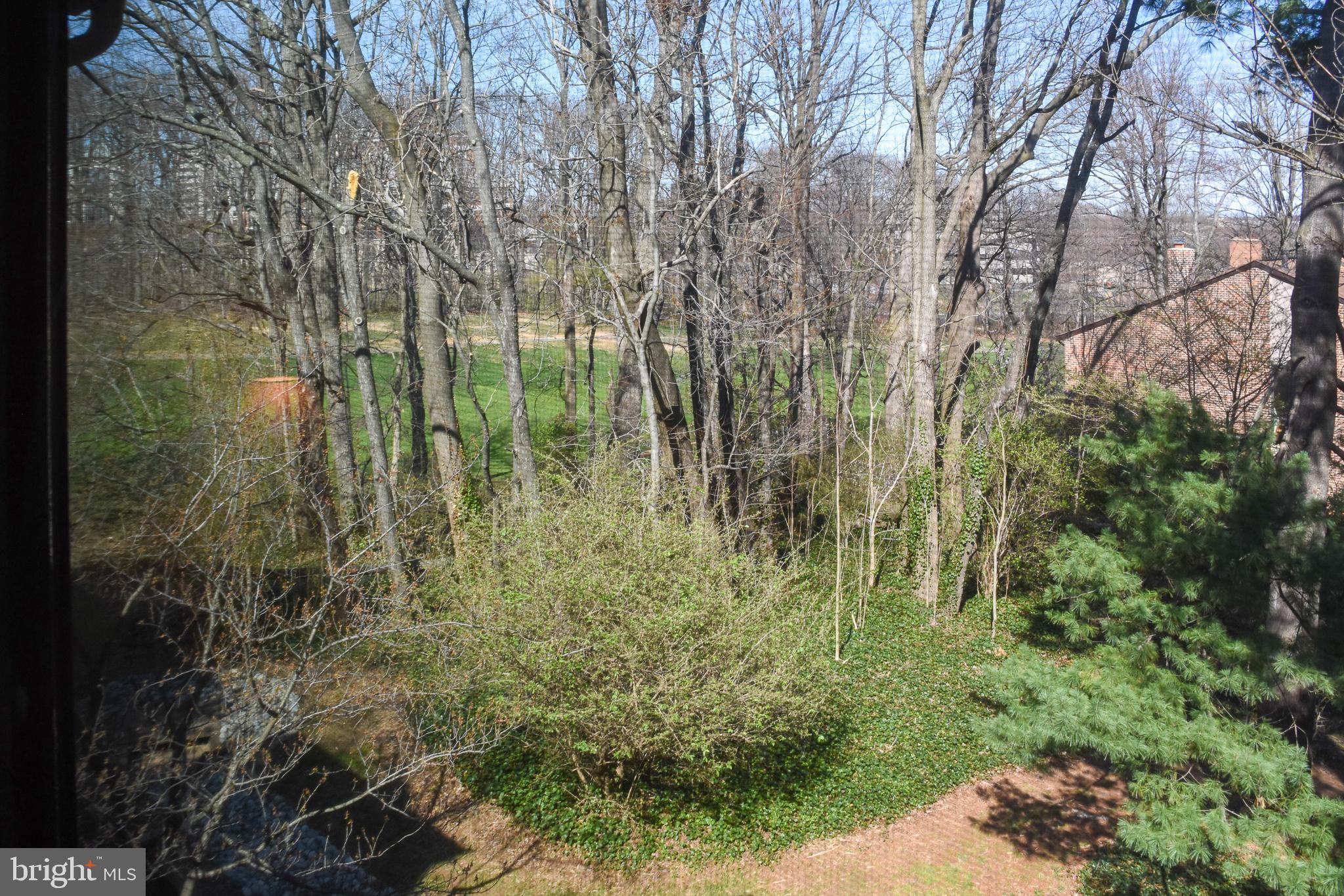 11768 Indian Ridge Road Reston, VA 20191 - Photo 21 of 57 a view of a garden