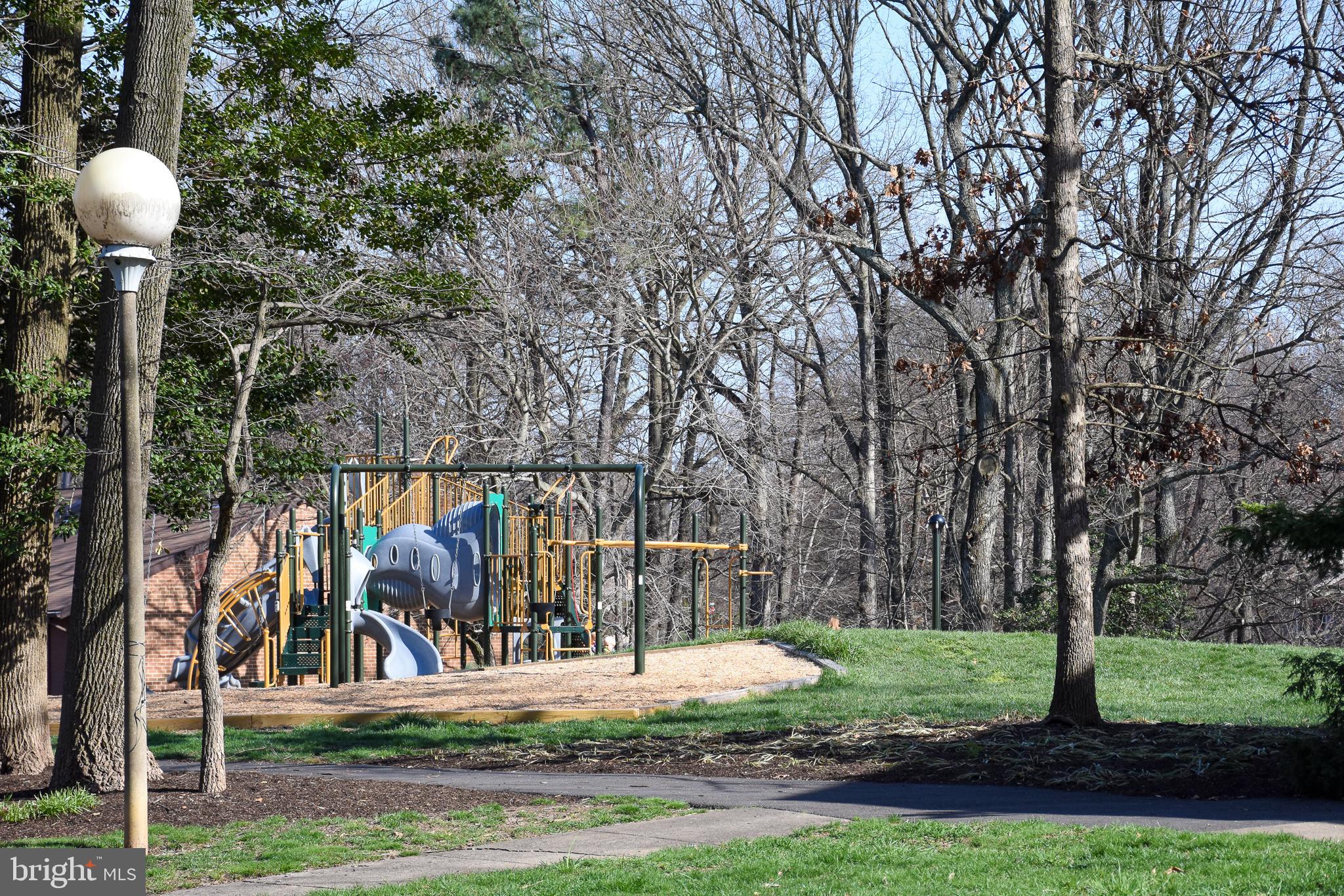 11768 Indian Ridge Road Reston, VA 20191 - Photo 24 of 57 And Large Playground
