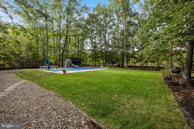 a view of a park with large trees