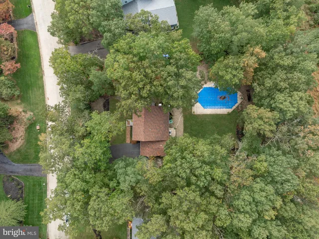 a view of a back yard