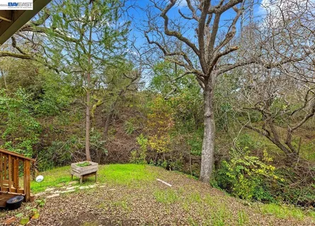 a view of a backyard with large trees