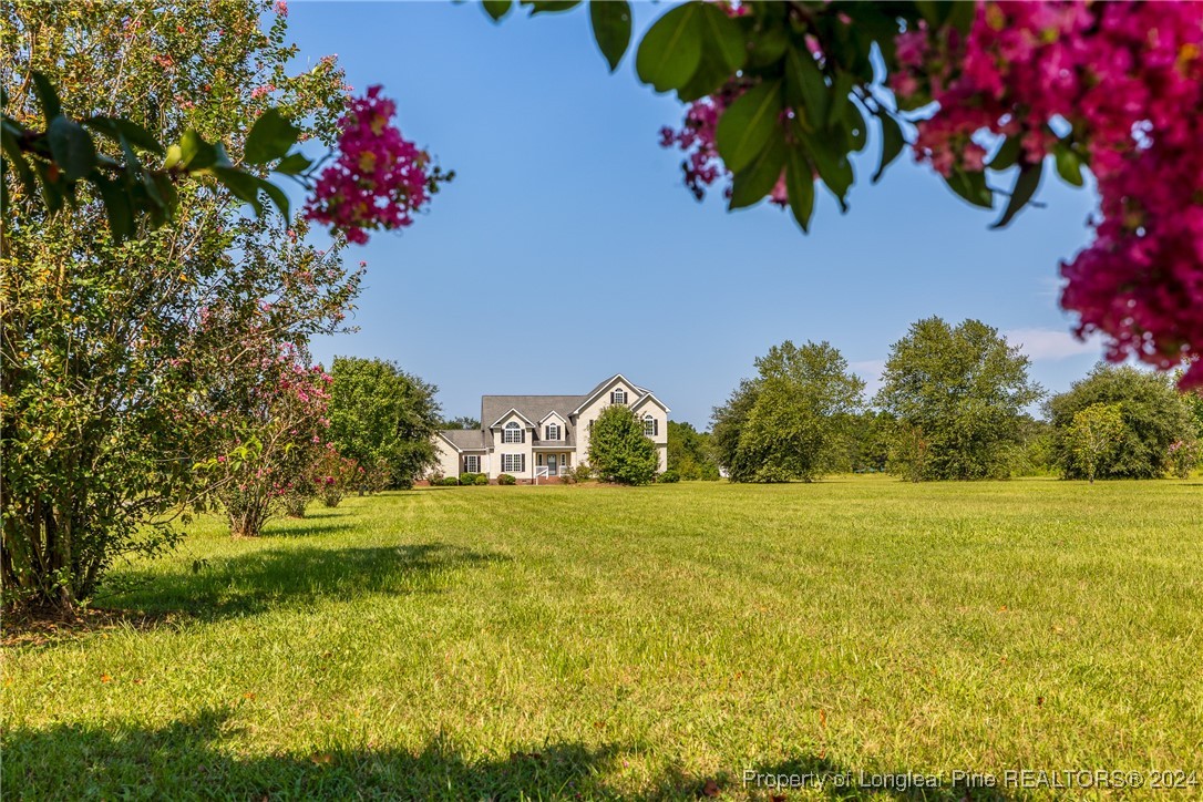 1591 Shannon Road Lumberton, NC 28360 - Photo 2 of 12 a view of a yard with an outdoor space