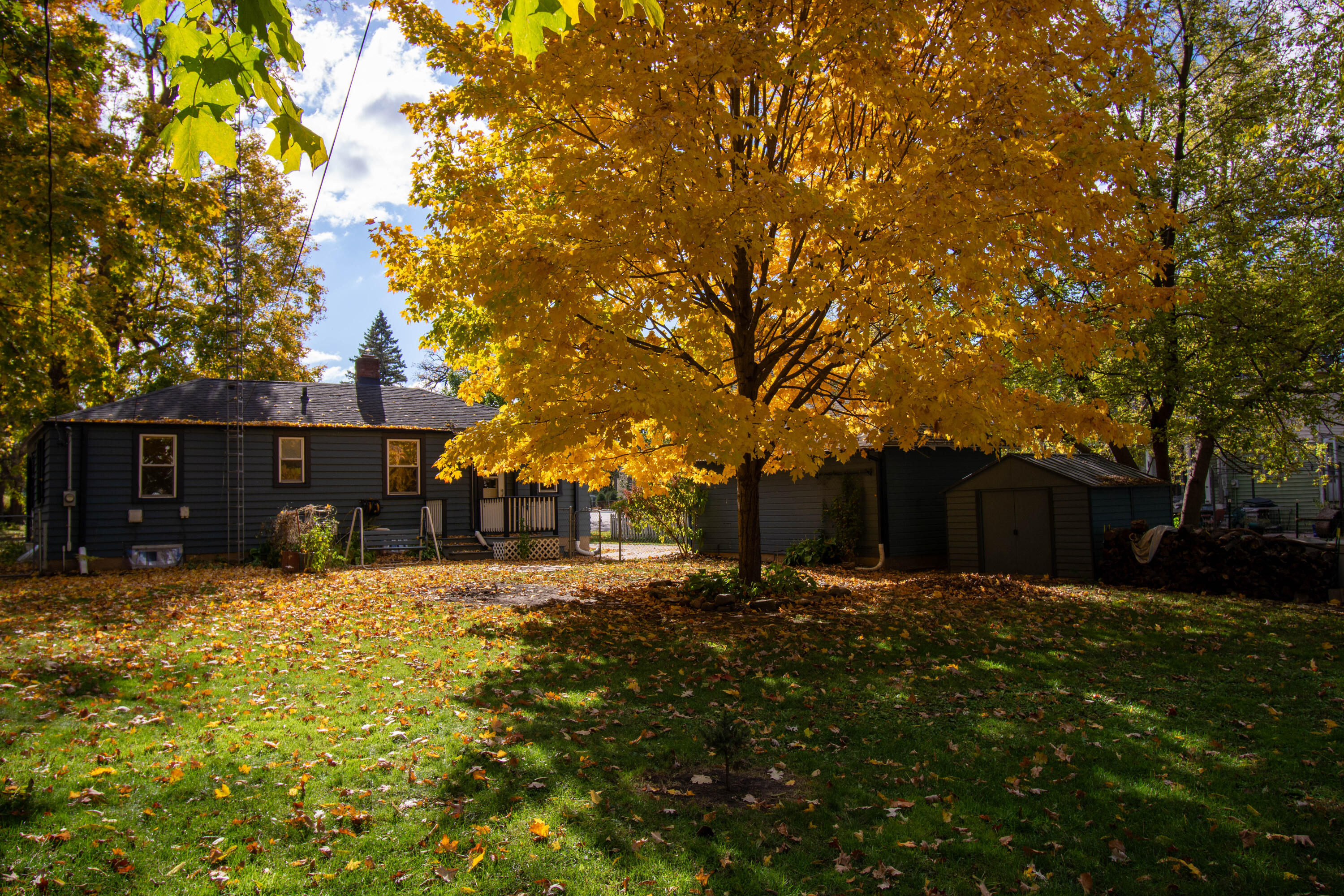717 East Walworth Avenue Delavan, WI 53115 - Photo 18 of 29 Back Yard