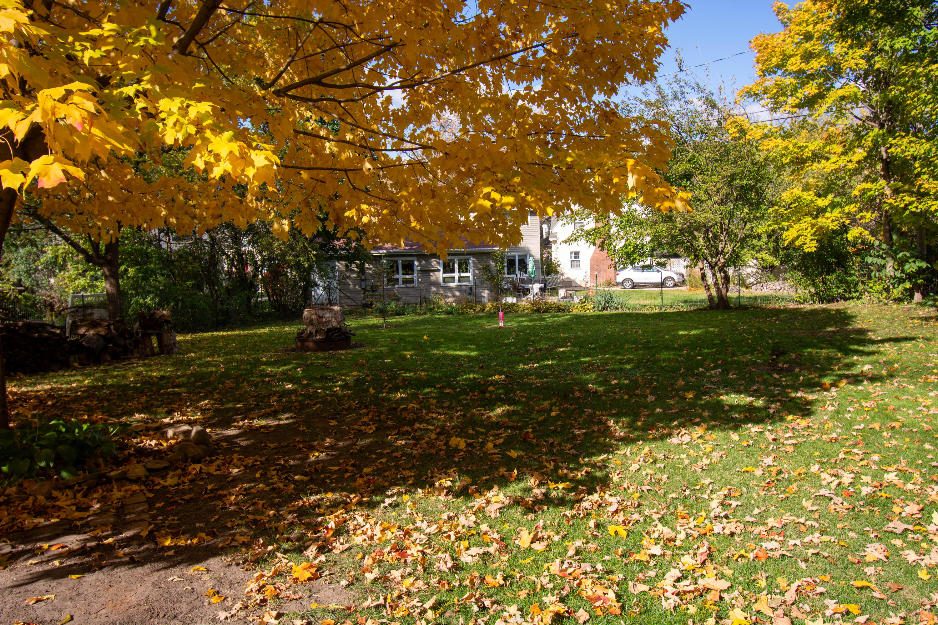 717 East Walworth Avenue Delavan, WI 53115 - Photo 29 of 29 Back Yard