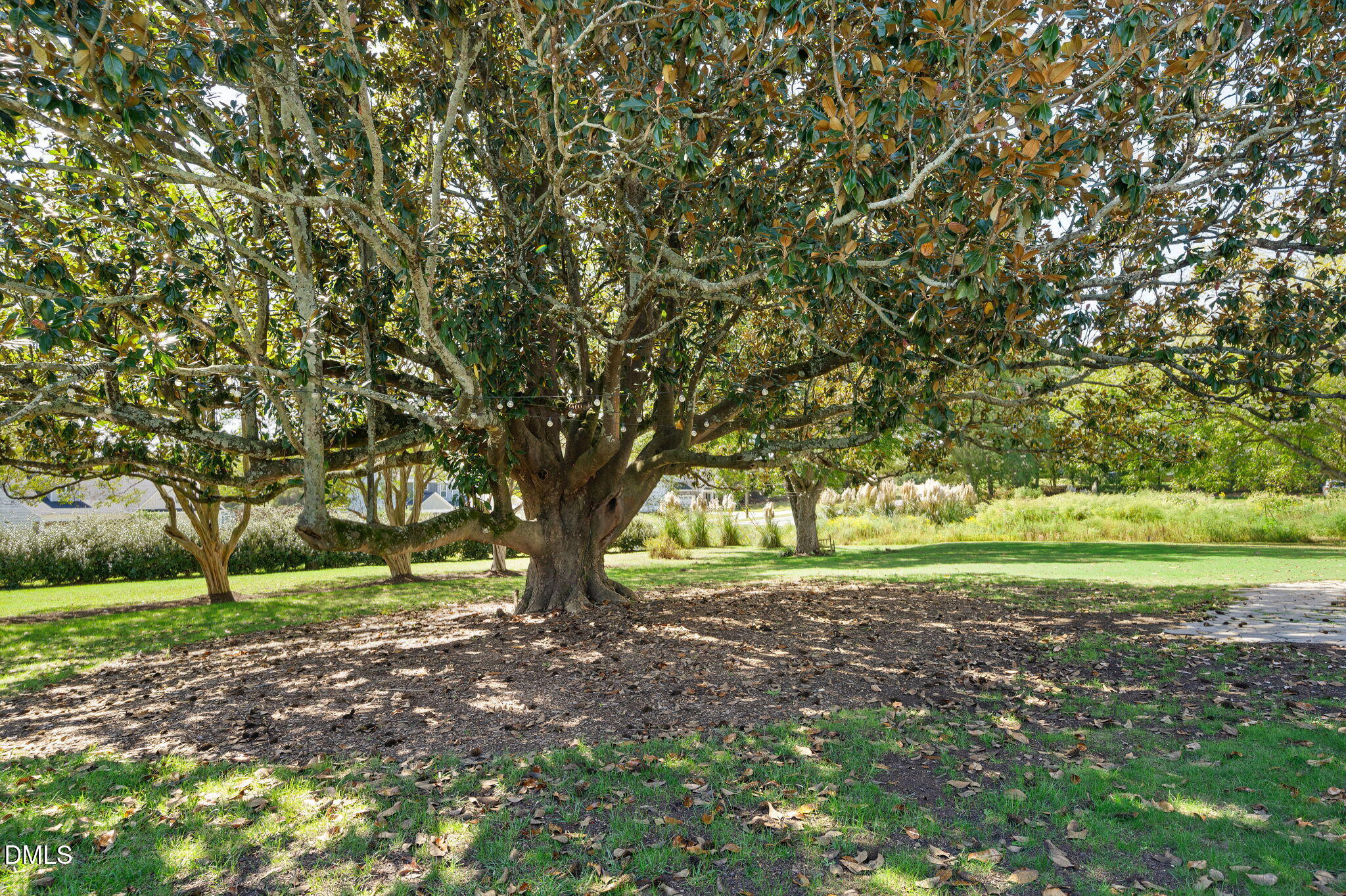 2239 Barber Mill Road Clayton, NC 27520 - Photo 6 of 75 a view of outdoor space with trees