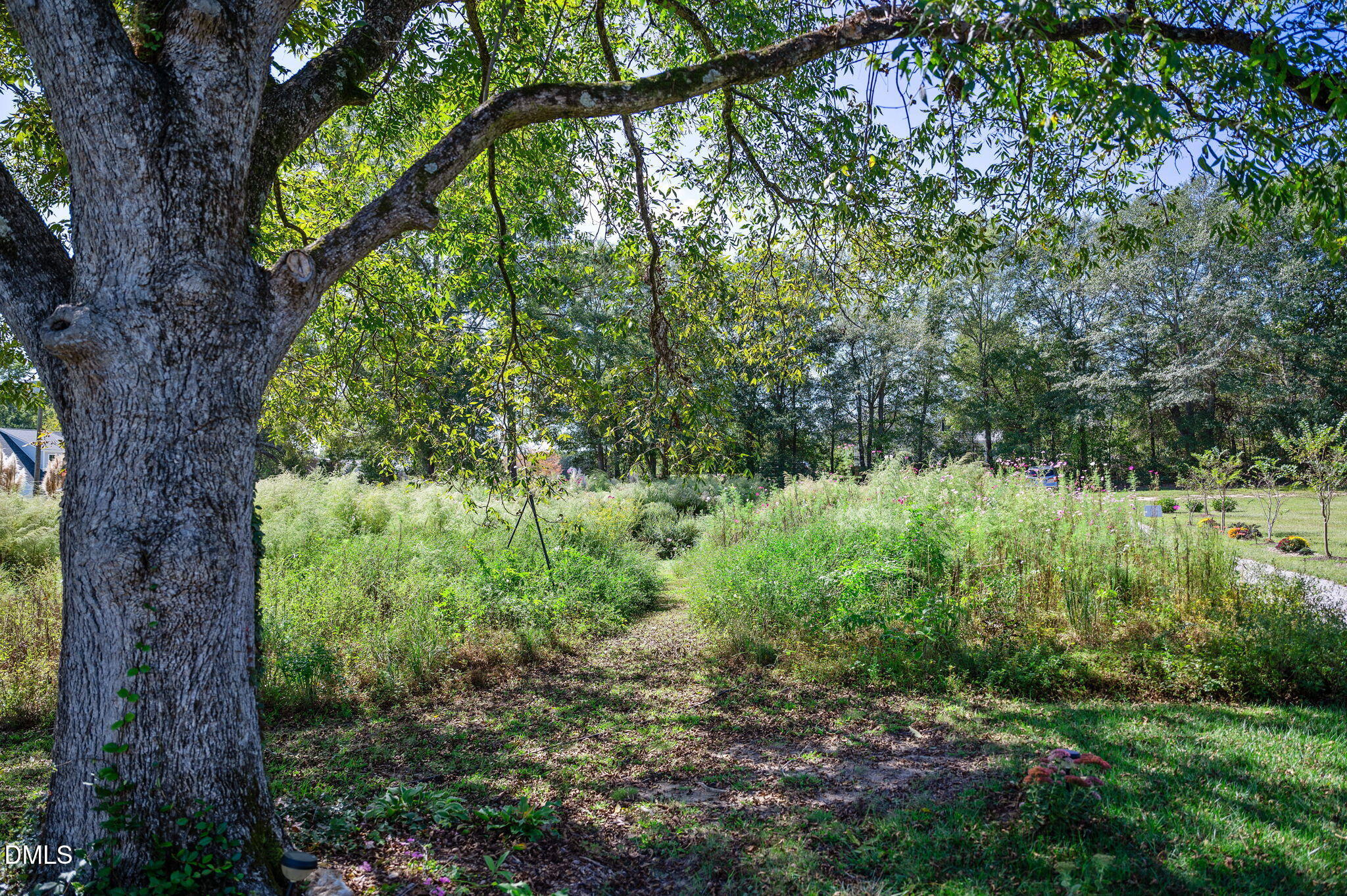 2239 Barber Mill Road Clayton, NC 27520 - Photo 61 of 75 2239 Barber Mill Rd Clayton NC 27520_JRK