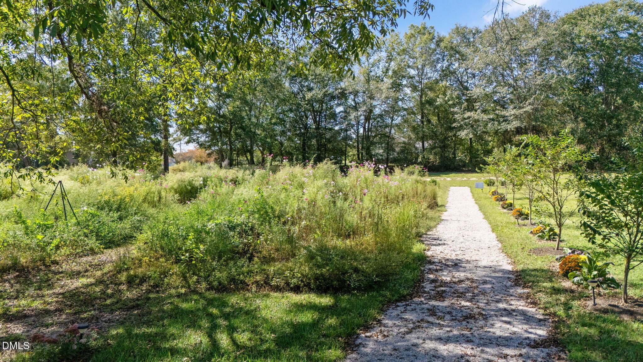 2239 Barber Mill Road Clayton, NC 27520 - Photo 73 of 75 a view of a pathway both side of yard