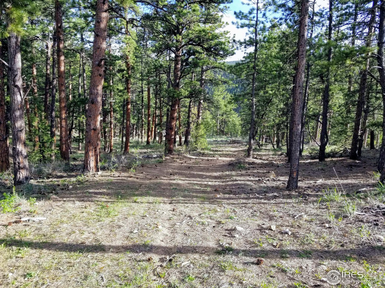 a view of a yard with trees