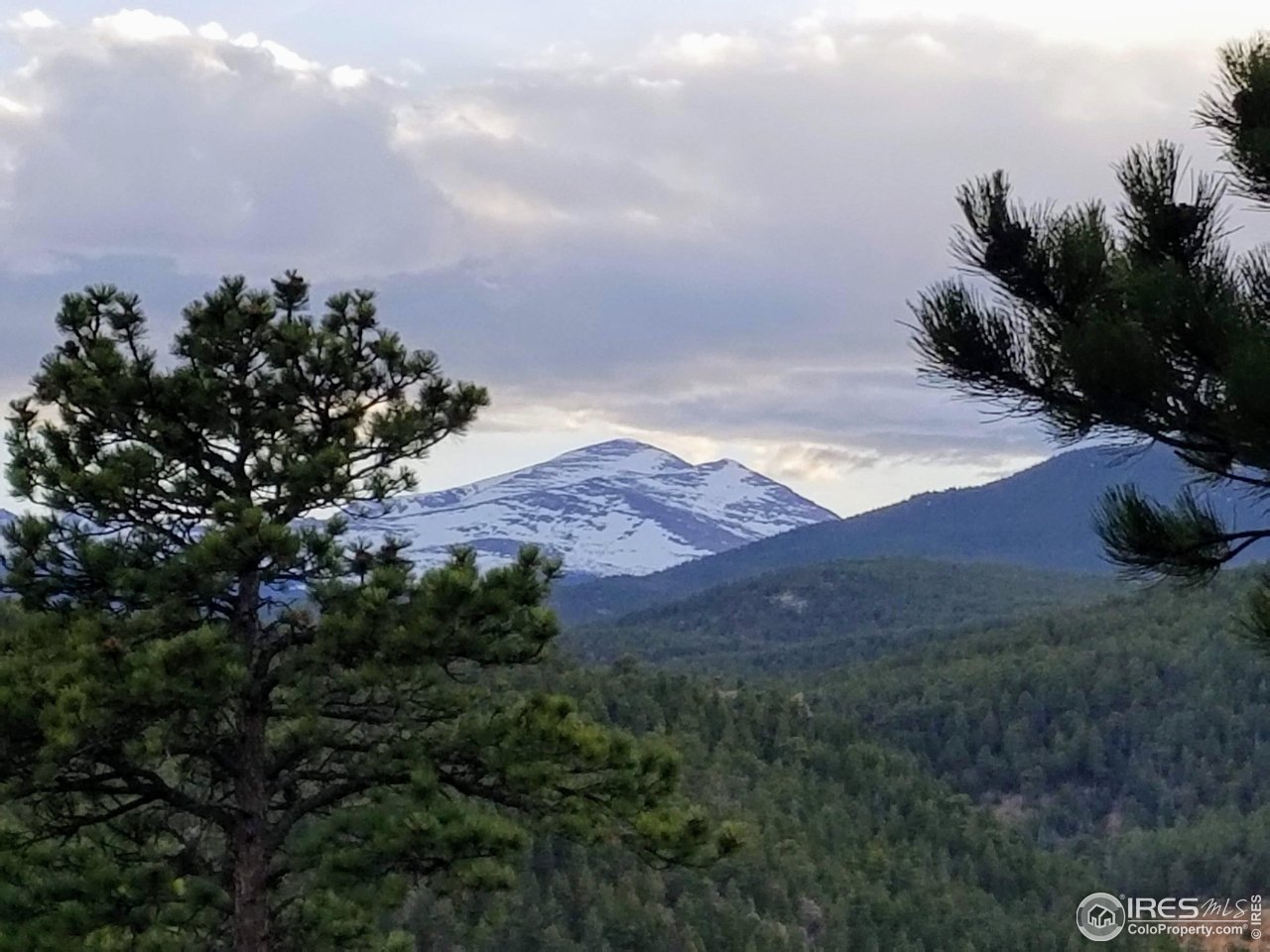 49 Pine Drive Lyons, CO 80540 - Photo 2 of 4 a view of outdoor space and mountain view