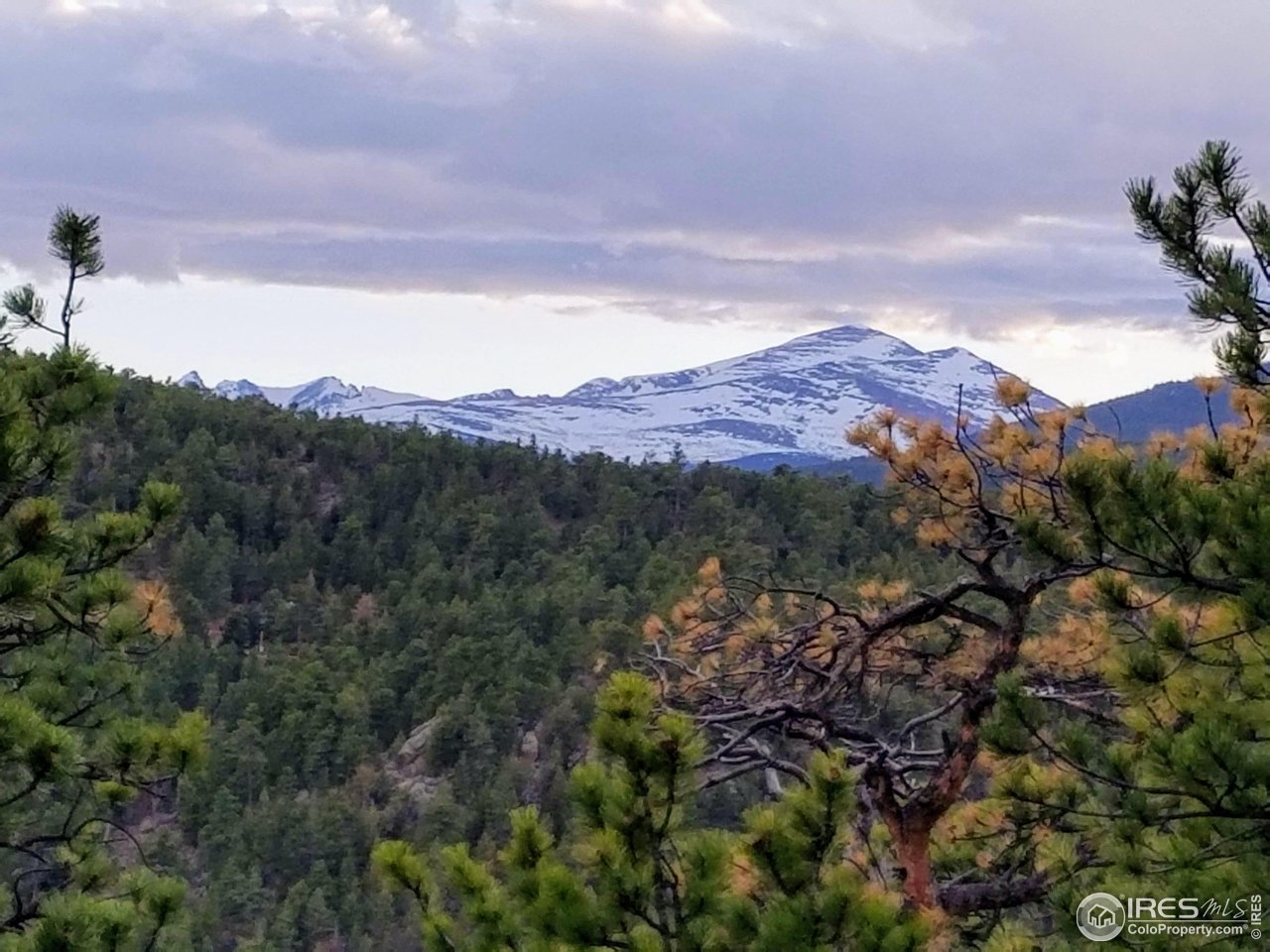 49 Pine Drive Lyons, CO 80540 - Photo 4 of 4 a view of a city