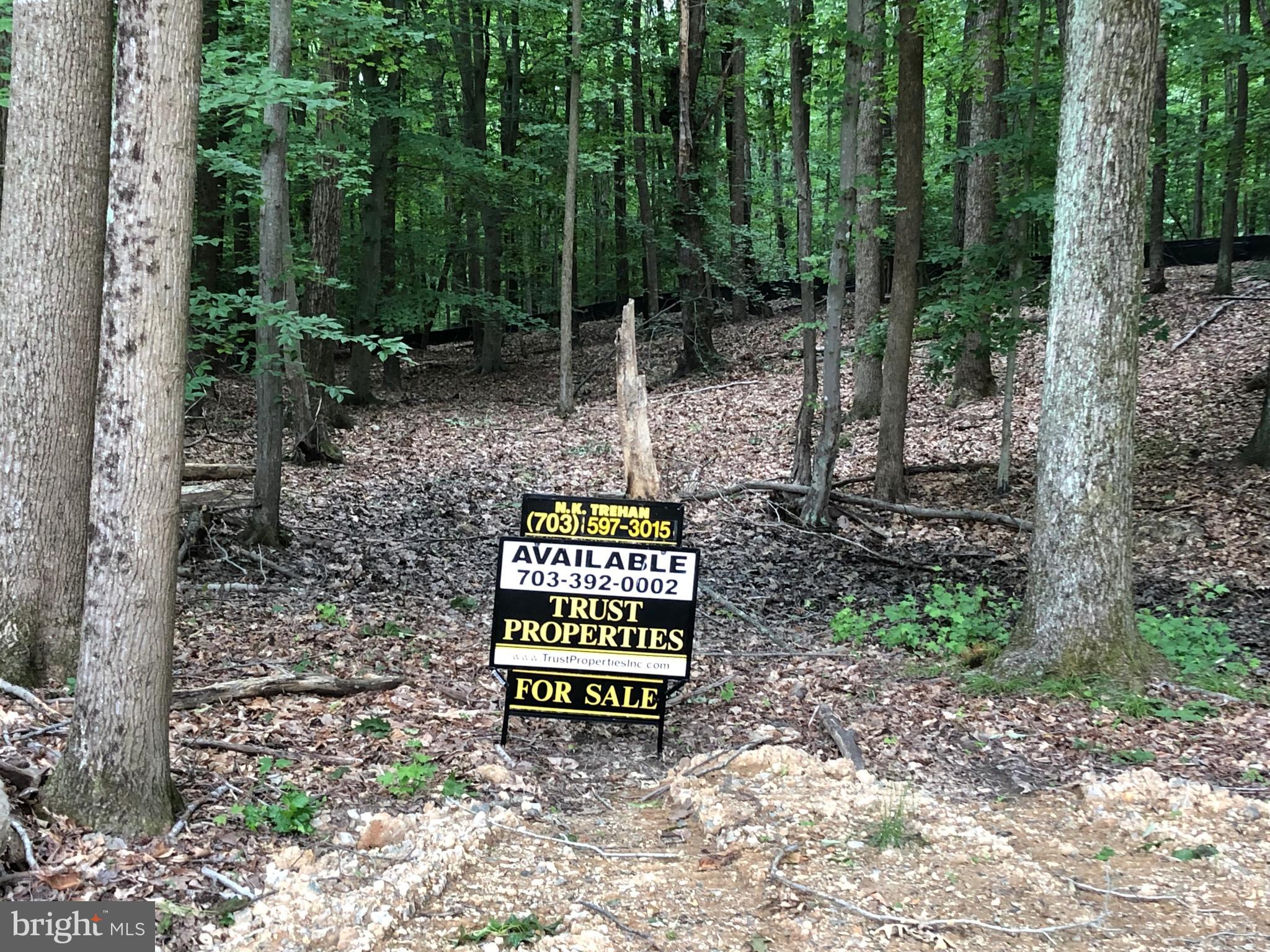 10708 Harley Road Lorton, VA 22079 - Photo 3 of 5 Lot 5