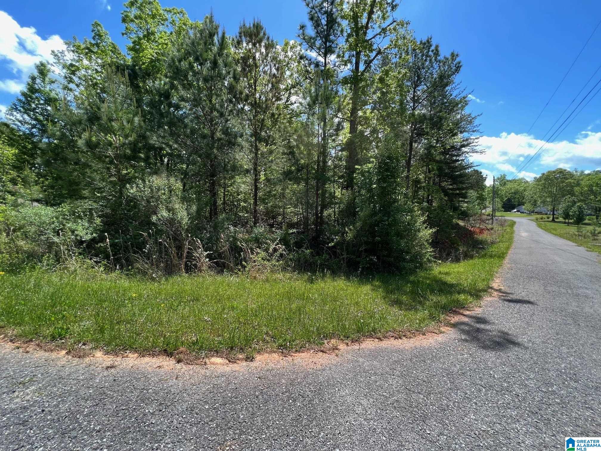 Blue Ridge Drive, Unit 1 Talladega, AL 35160 - Photo 2 of 16