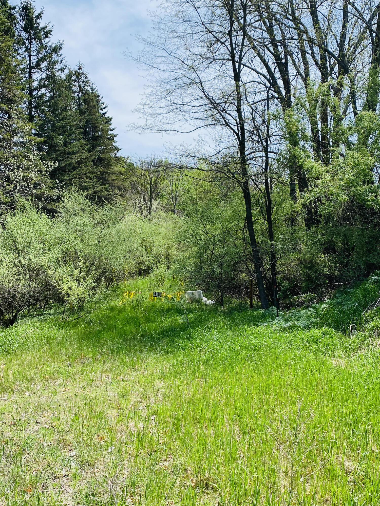 Eilers Road Montague, MI 49437 - Photo 4 of 5 Eilers 4