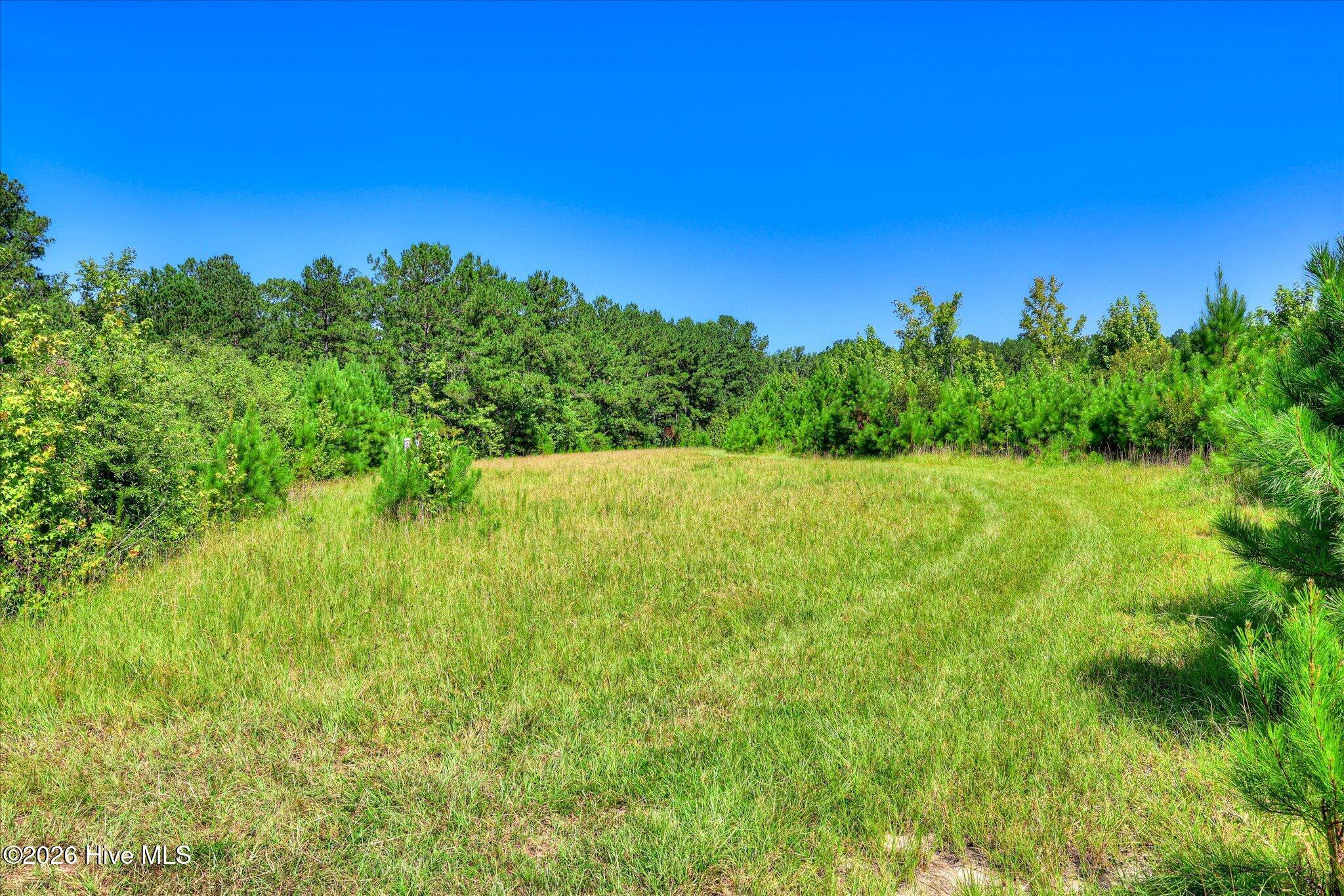 170 Landing Road Jackson, SC 29831 - Photo 20 of 76 Gallery Image 20