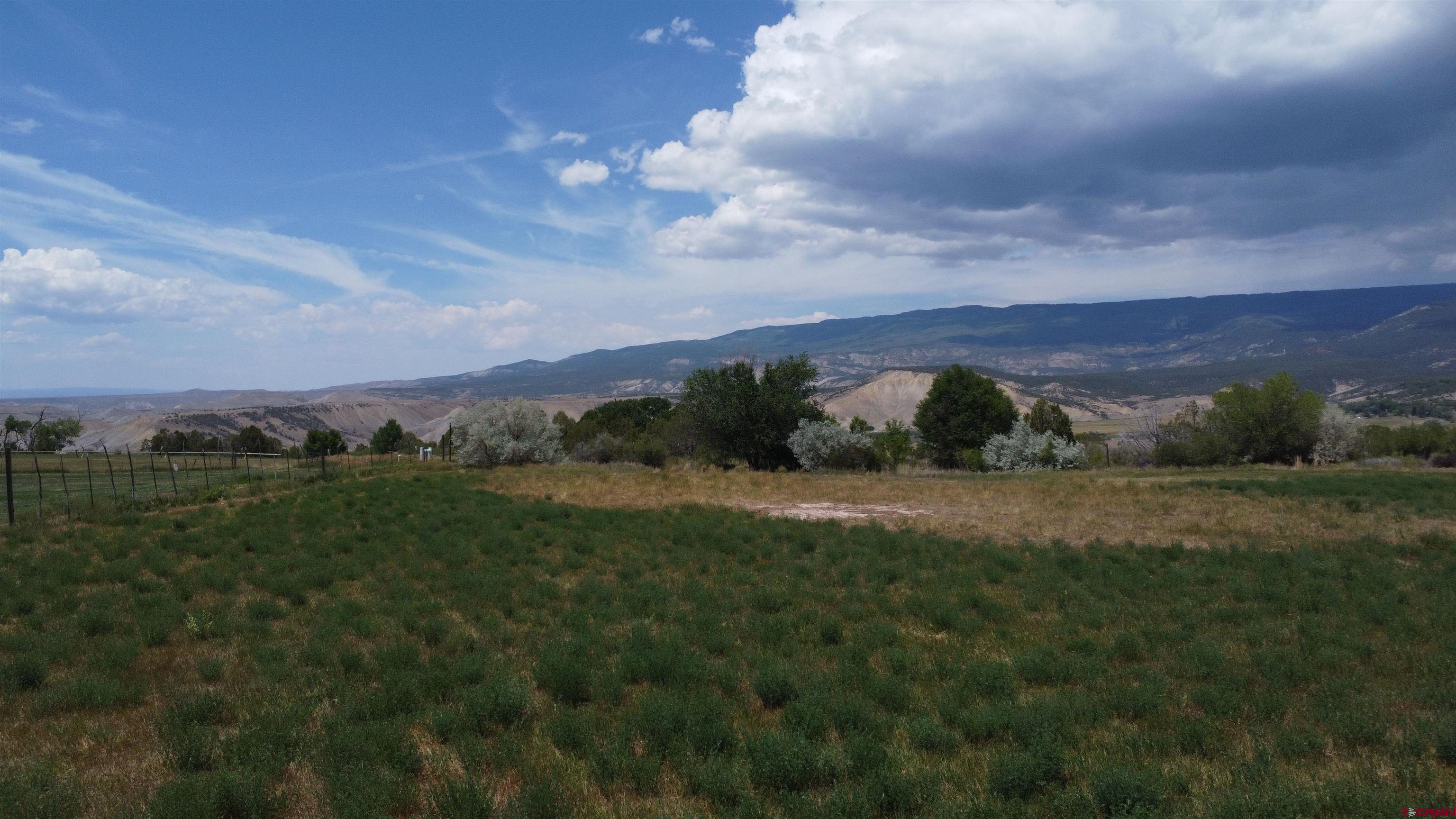 Tbd Tbd Bull Mesa Road Cedaredge, CO 81413 - Photo 2 of 11 a view of a grassy field with trees