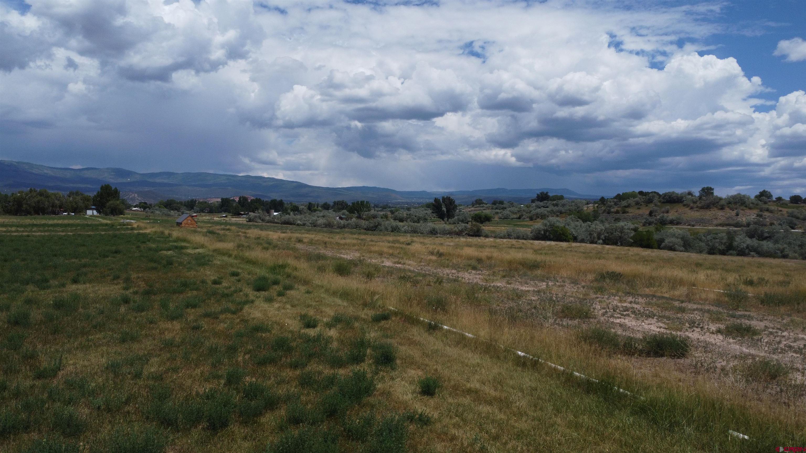 Tbd Tbd Bull Mesa Road Cedaredge, CO 81413 - Photo 3 of 11 a view of a big yard with lots of green space