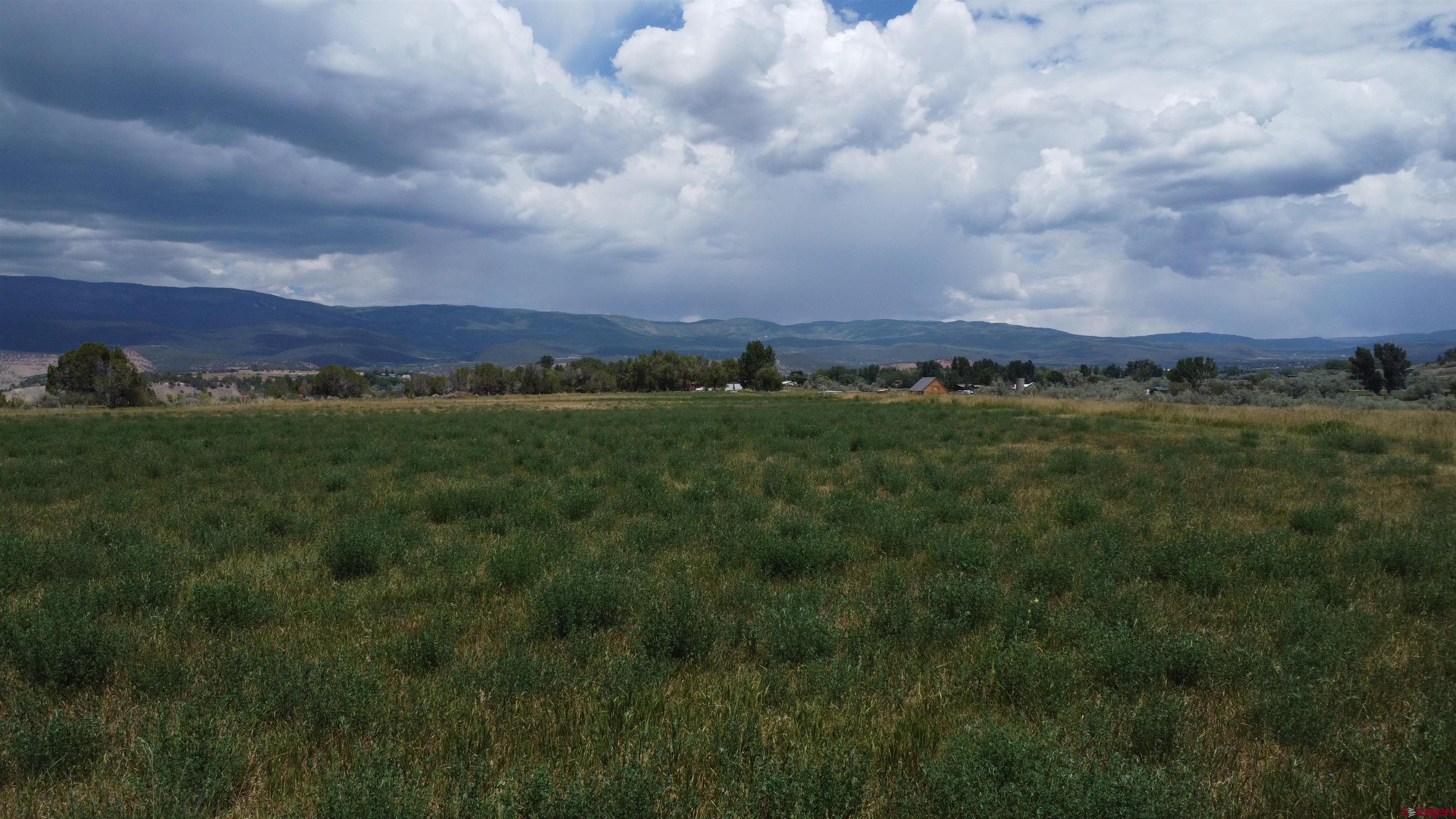 Tbd Tbd Bull Mesa Road Cedaredge, CO 81413 - Photo 4 of 11 a view of an outdoor and trees