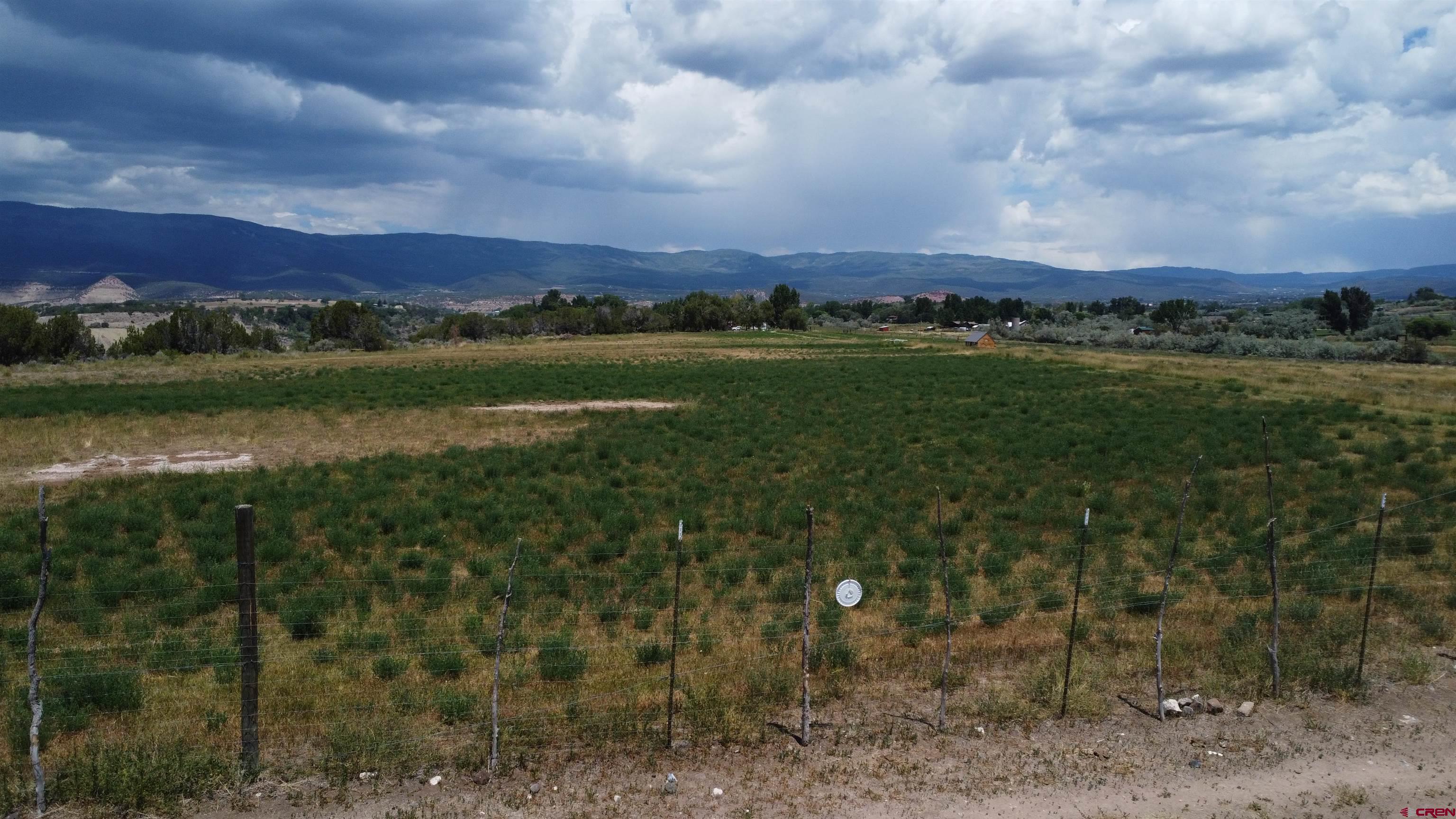 Tbd Tbd Bull Mesa Road Cedaredge, CO 81413 - Photo 7 of 11 a view of a city with lots of green space