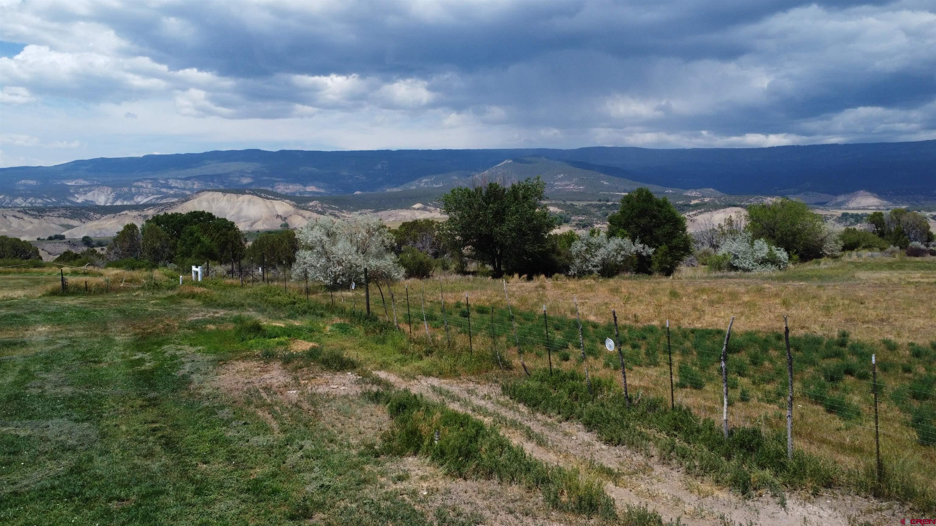 Tbd Tbd Bull Mesa Road Cedaredge, CO 81413 - Photo 8 of 11 a view of a bunch of trees and bushes
