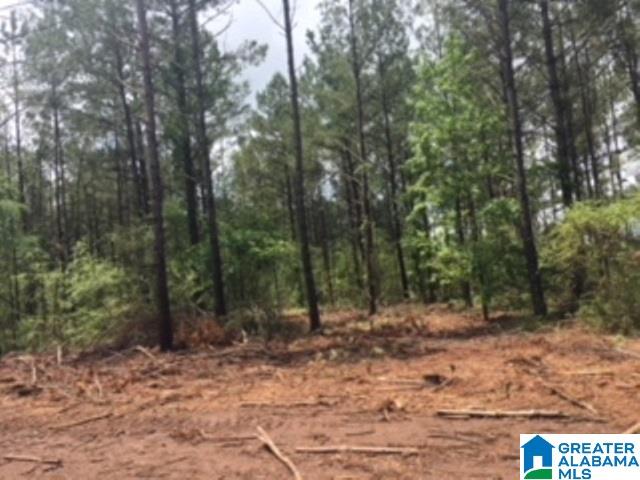 325 Springhill Road, Unit 1 Talladega, AL 35160 - Photo 5 of 31
