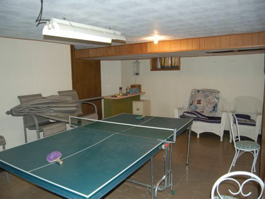 307 East Brayton Road Mount Morris, IL 61054 - Photo 11 of 14 Gallery Image 11