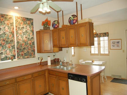 307 East Brayton Road Mount Morris, IL 61054 - Photo 6 of 14 Gallery Image 6