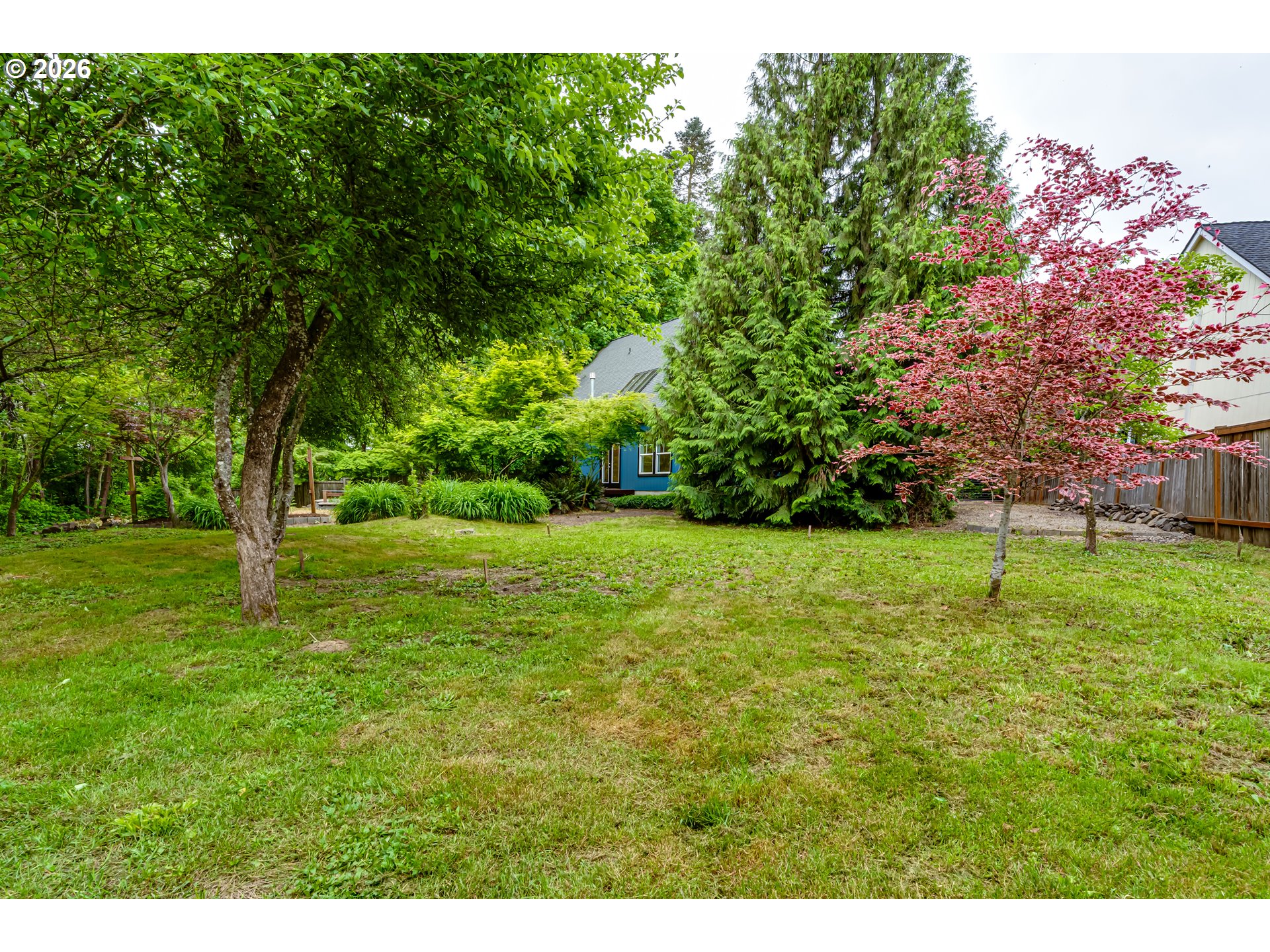 3769 Julia Loop Eugene, OR 97404 - Photo 39 of 46 a view of a field with a tree