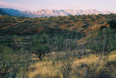 95 Poorwill Canyon Road Rio Rico, AZ 85648 - Photo 6 of 9
