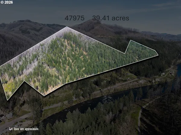 $595,000 | 47975-87 McKenzie Highway, Vida, OR 97488