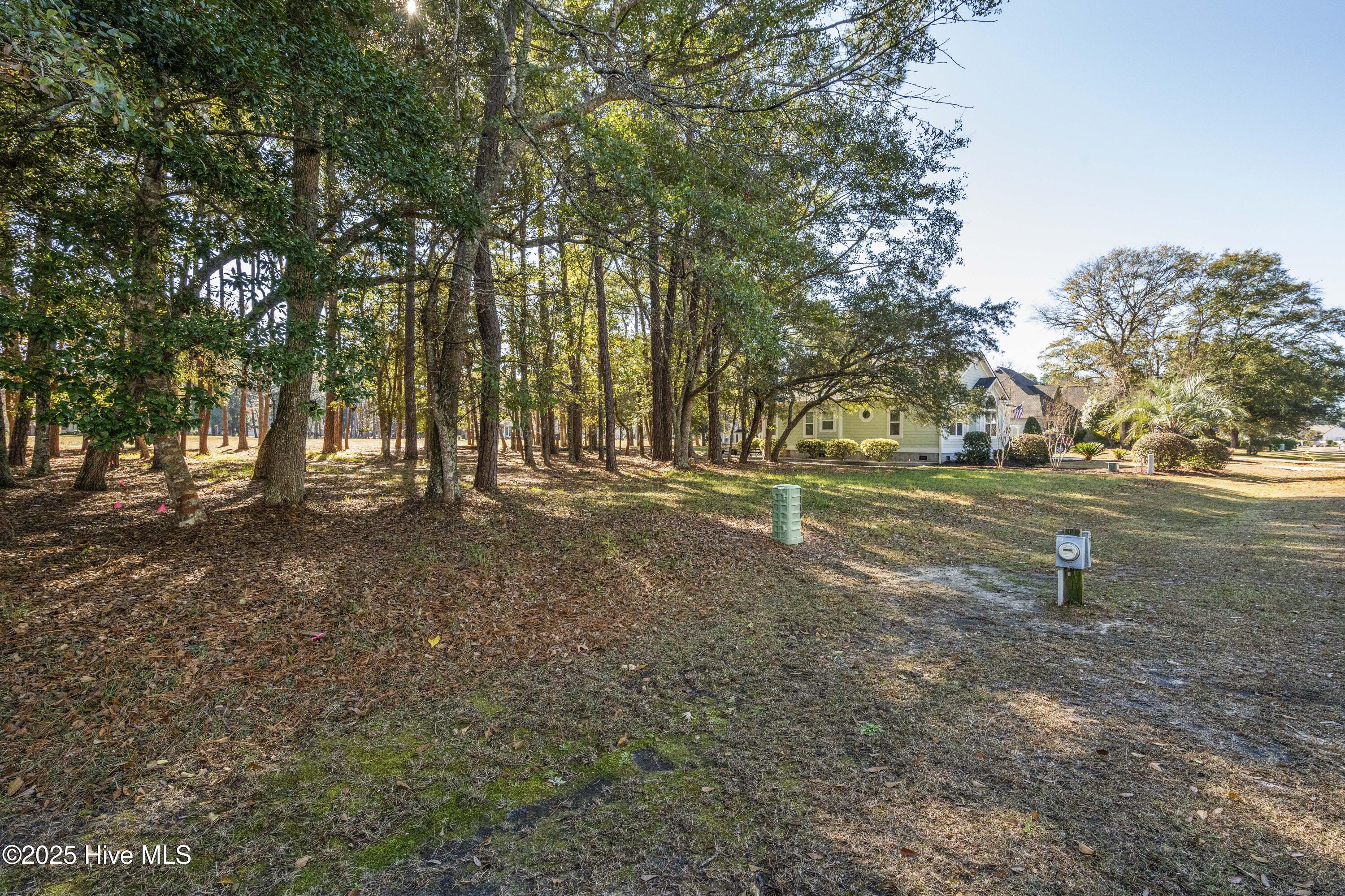 459 Genoe's Point Road Southwest Supply, NC 28462 - Photo 9 of 13 DSC01590