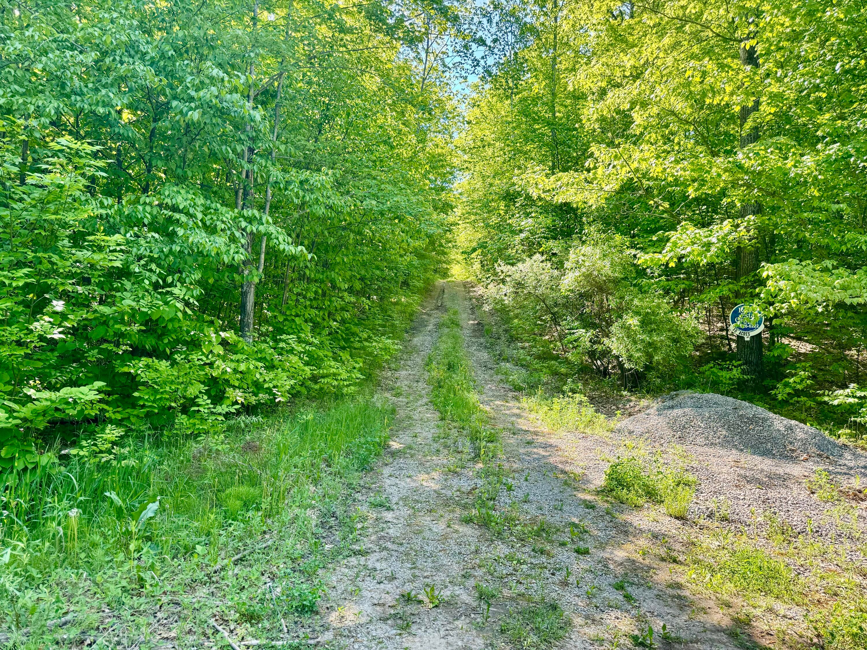 Reeves Road Curran, MI 48728 - Photo 22 of 28 Gallery Image 22