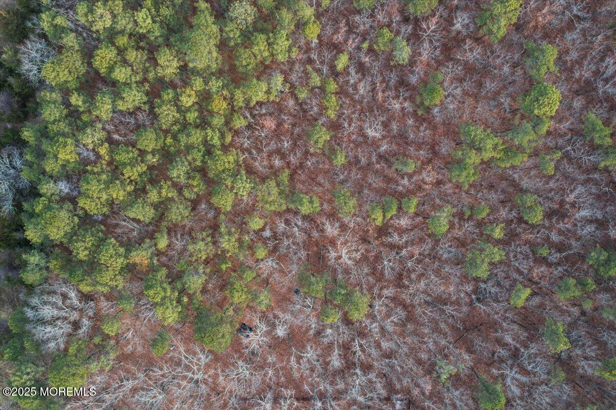 73 Porter Road Howell, NJ 07731 - Photo 60 of 65 088-DJI_0466