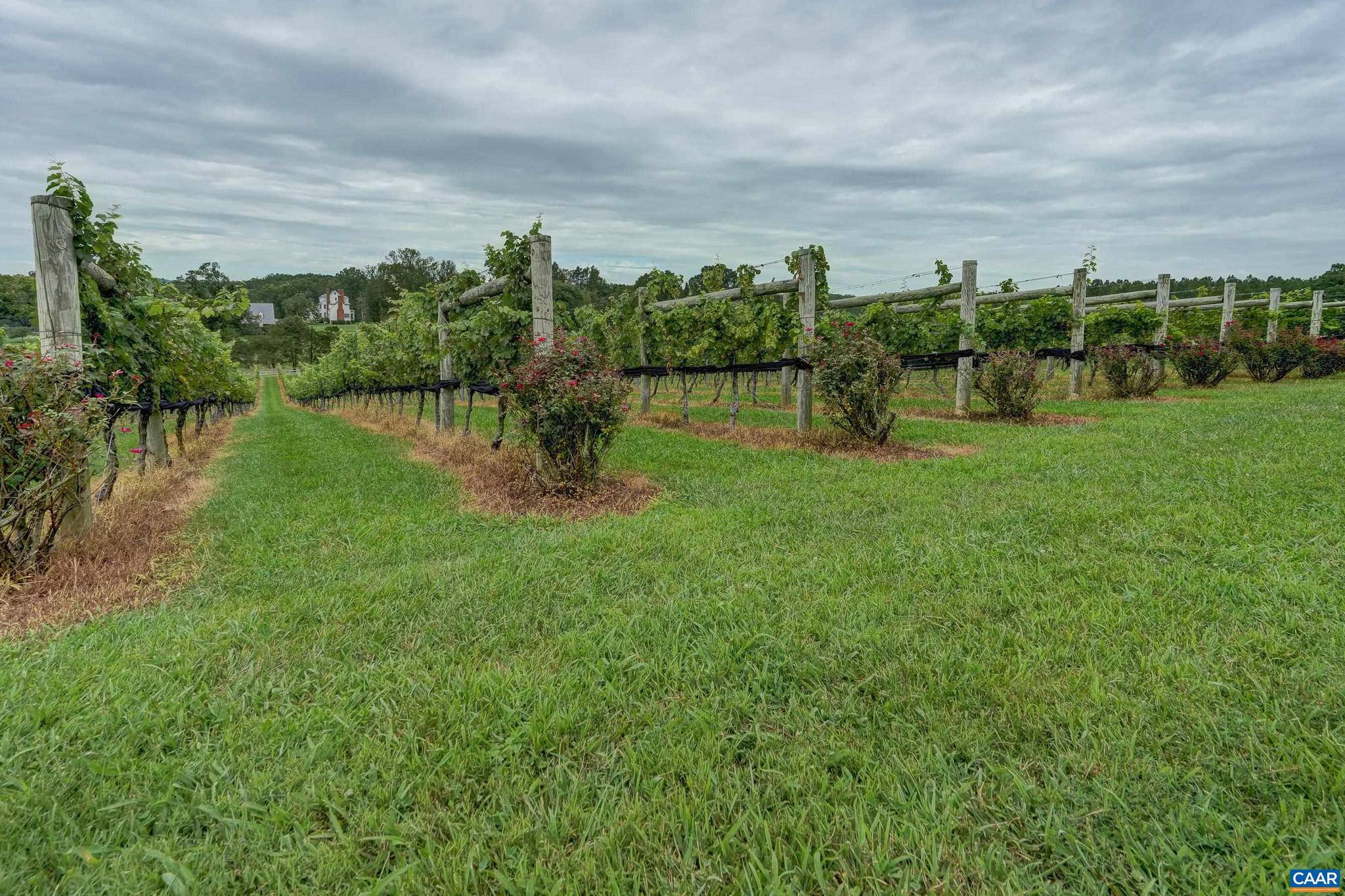 6634 Porters Road Esmont, VA 22937 - Photo 62 of 74 Gallery Image 62