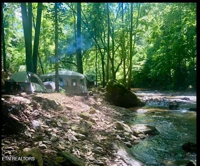 1575 Old 15th Road Del Rio, TN 37727 - Photo 47 of 55 IMG_7925